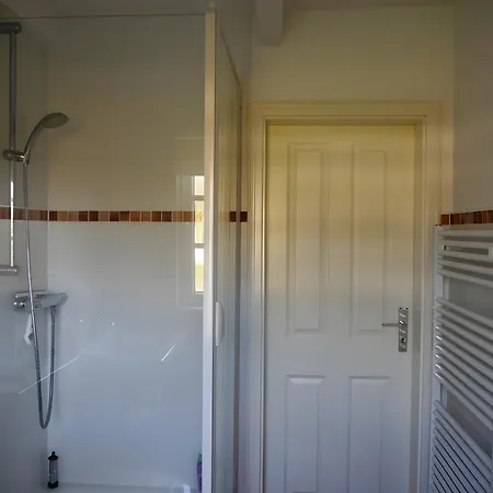 Silbermoewe