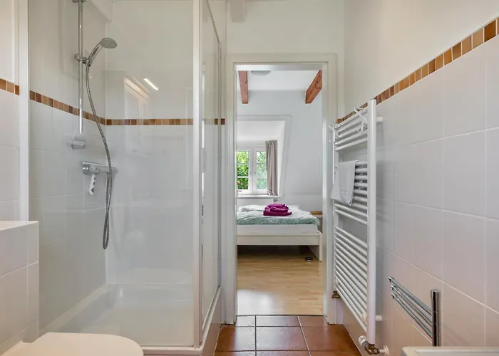 Silbermoewe * Pellworm