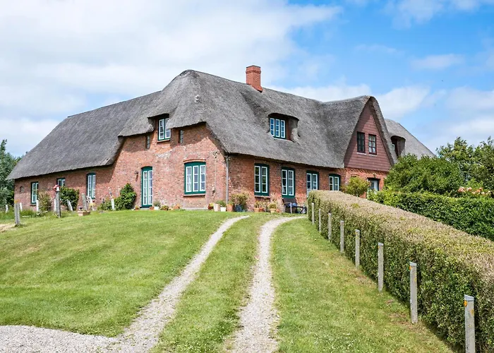 Silbermoewe Pellworm