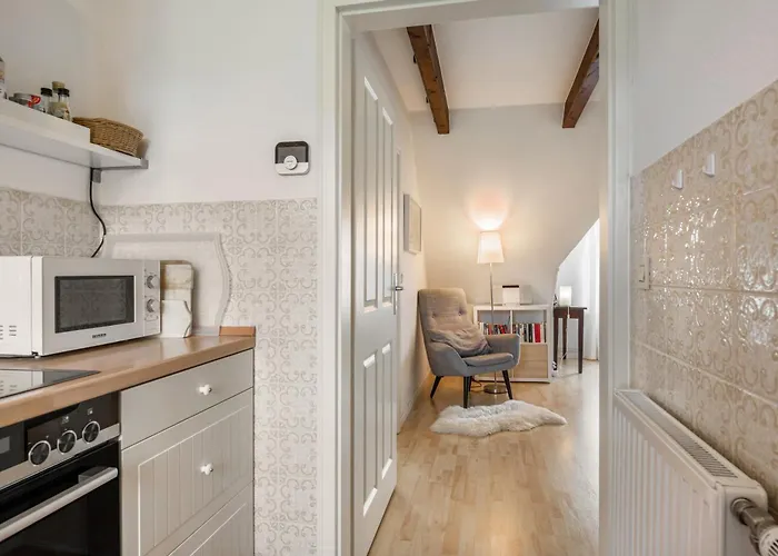 Silbermoewe * Pellworm