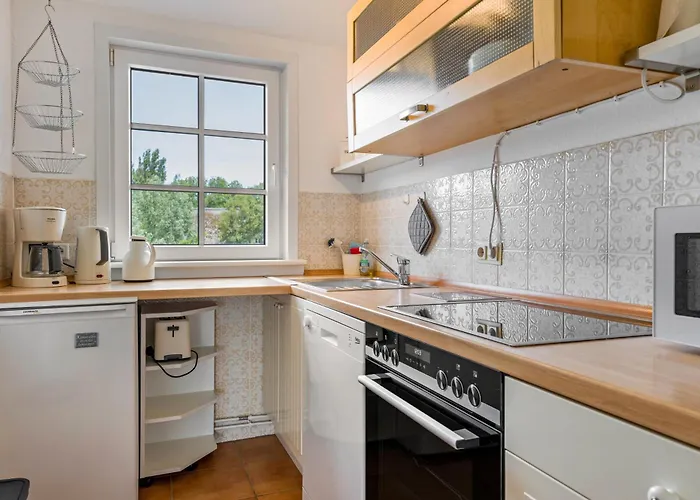 Silbermoewe Pellworm